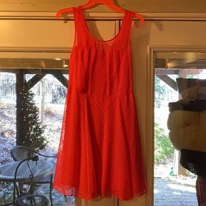 Pink Dress! 💓💕 Express!